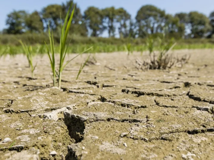 Intégration du climat dans le budget 2025: Le Bénin renforce ses engagements environnementaux