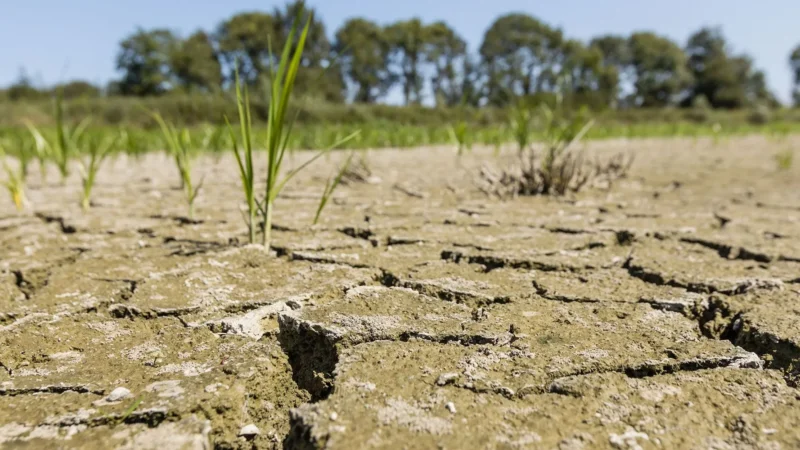 Intégration du climat dans le budget 2025: Le Bénin renforce ses engagements environnementaux