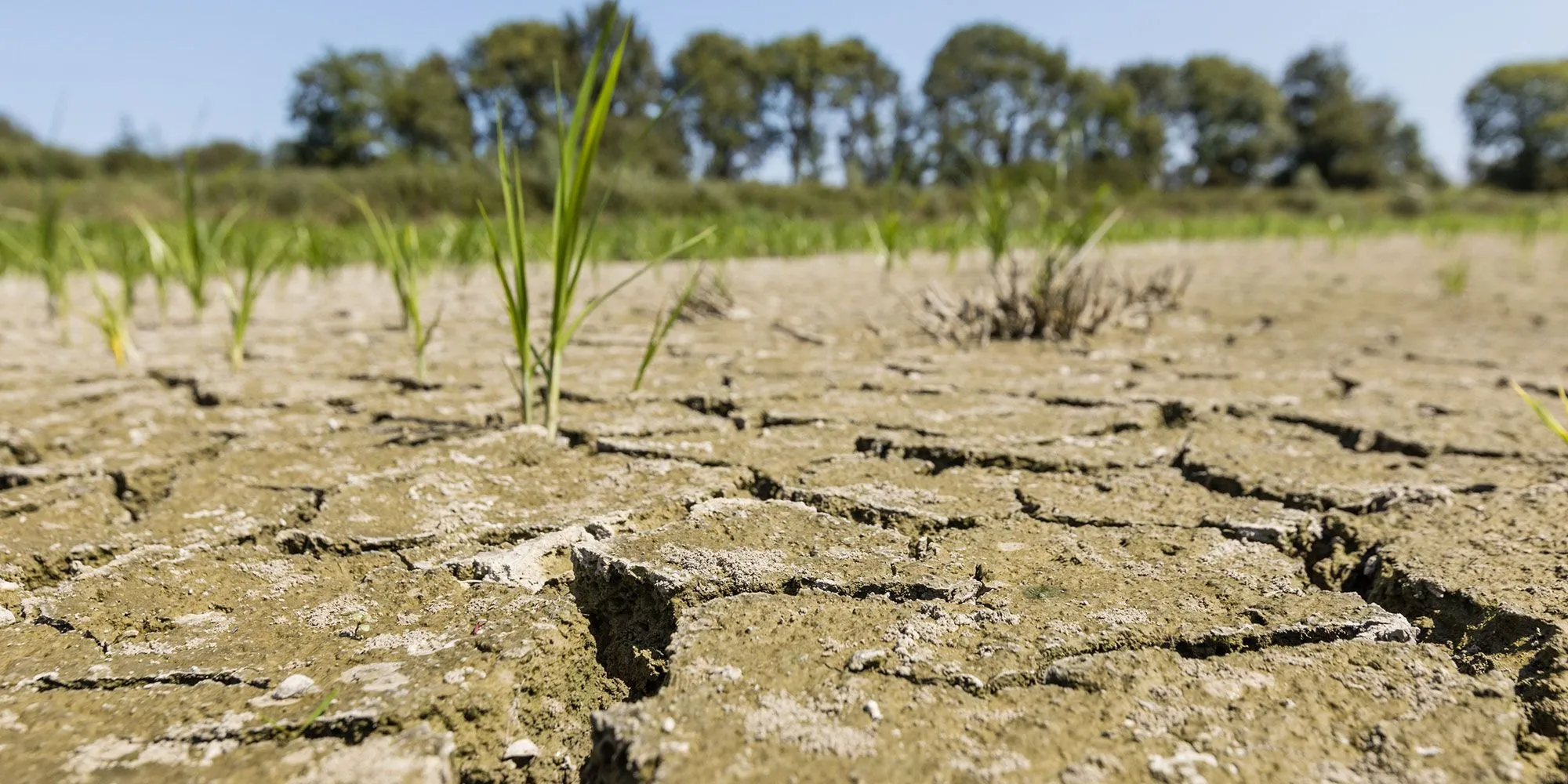 Intégration du climat dans le budget 2025: Le Bénin renforce ses engagements environnementaux